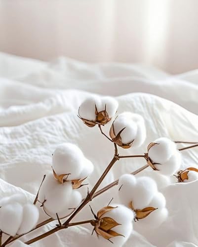 King Size Flat Sheet Only, Soft 300 Thread Count 100% Cotton Flat Sheets, Cool & Breathable Bed Sheets, Top Sheet, Flat Sheet Only, Single Flat Sheets Only (King, White)